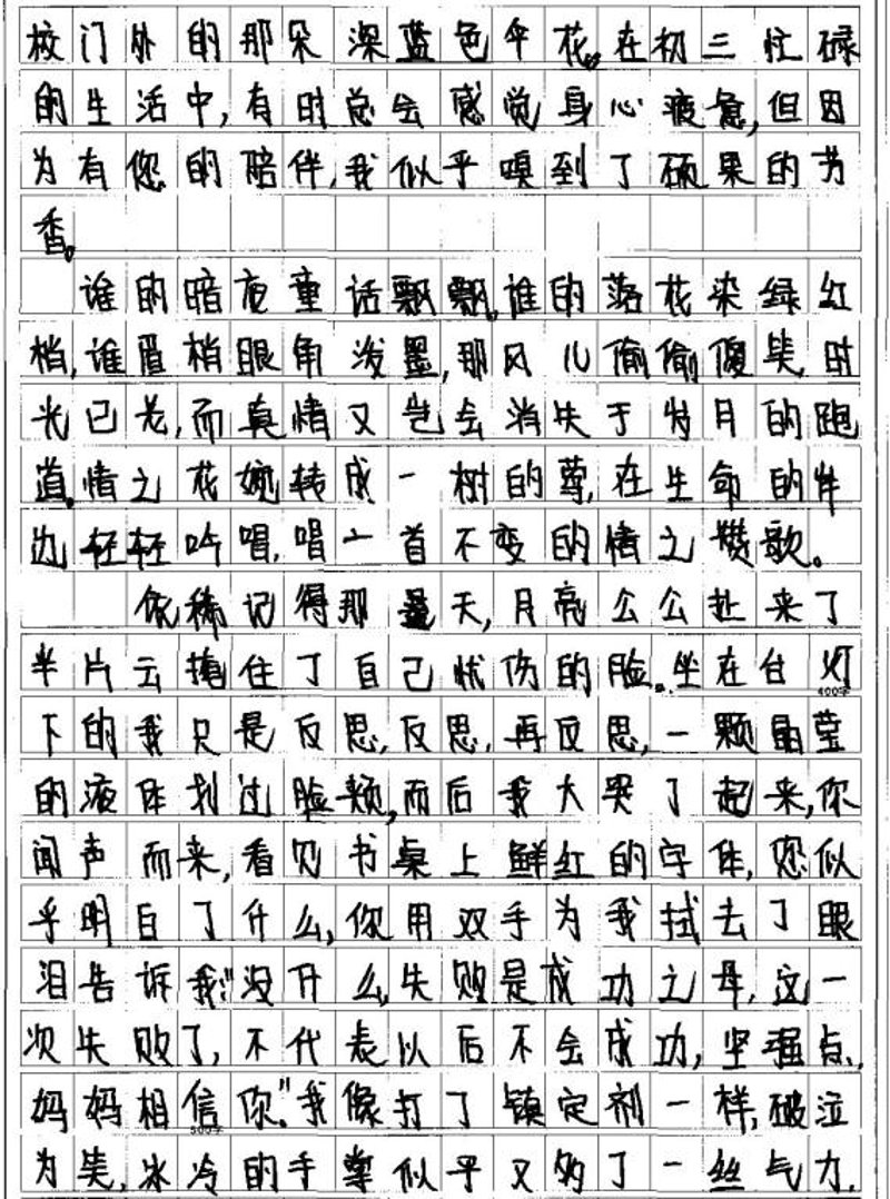 探索作文的世界——小学生语文学习的重要一环